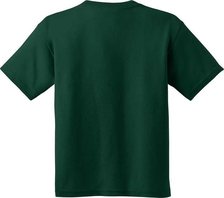 Actual product image Gildan T-shirt (pack of 2) (M)