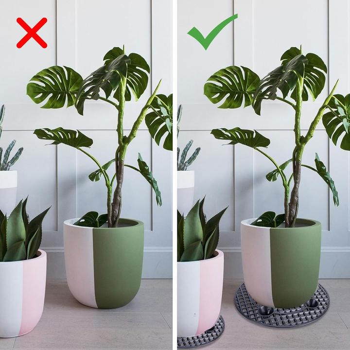 Produktbild Toothbace Blumentopfhalter-Set