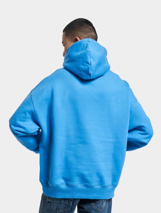 Actual product image Tommy Hilfiger TJM Tommy Badge Hood DM0DM10904 C4H M (M)