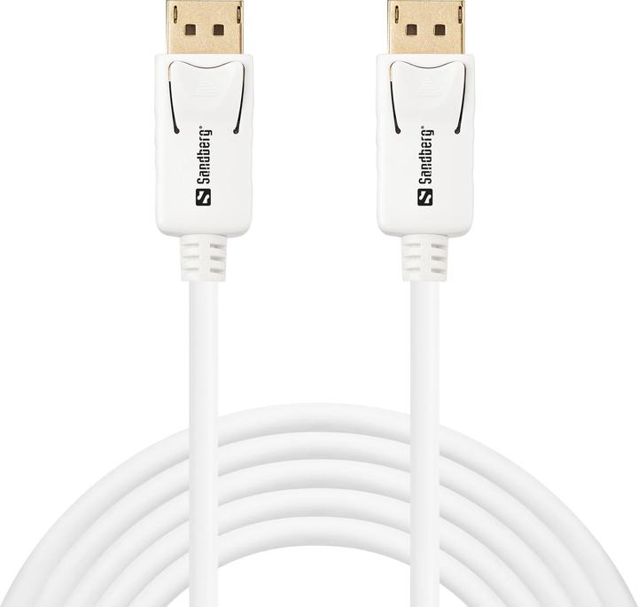Actual product image Sandberg DisplayPort — DisplayPort (2 m)