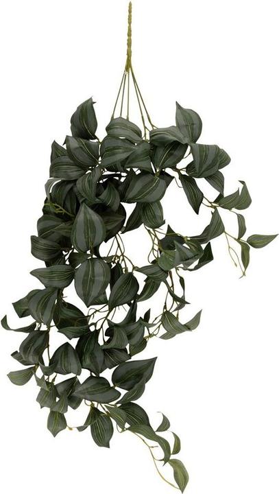 Produktbild present time Hanging Tradescantia (76.20 cm)