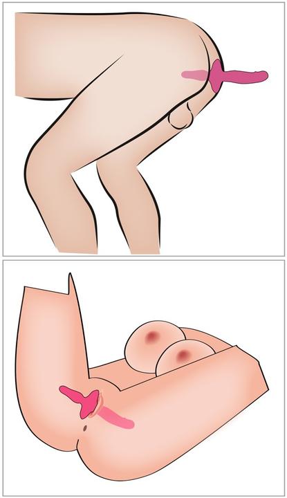 Actual product image Couples Choice 2in1 vibrator + butt plug