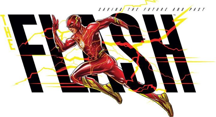 Produktbild The Flash Sweatshirt (L)