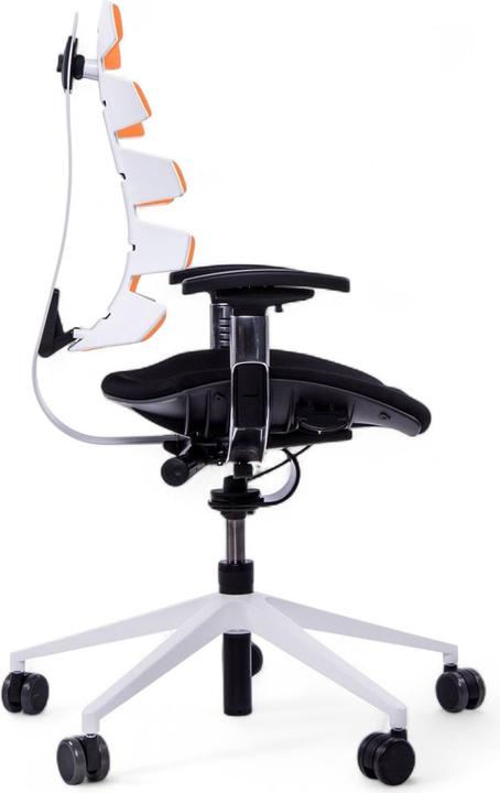 Immagine prodotto Sitag SitagWAVE con tornello bianco