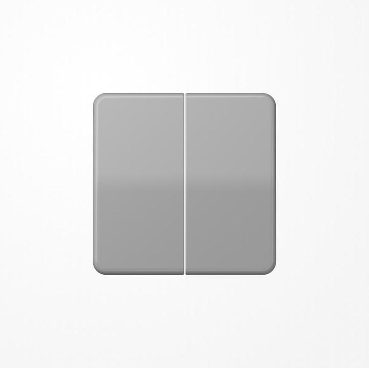 Produktbild JUNG CD595GR Serienwippe