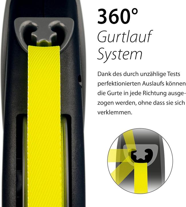 Actual product image Flexi Roll-Leine für grosse Hunde, 10 m (bis 50 kg) (10, Dog, General)