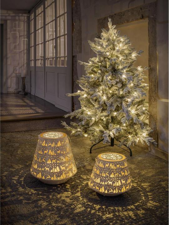 Actual product image STT Nova winter