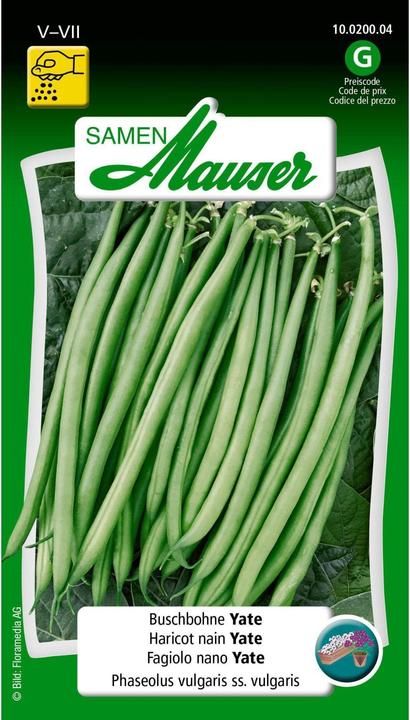 Produktbild Samen Mauser Buschbohne Yate (Gemüsesamen)