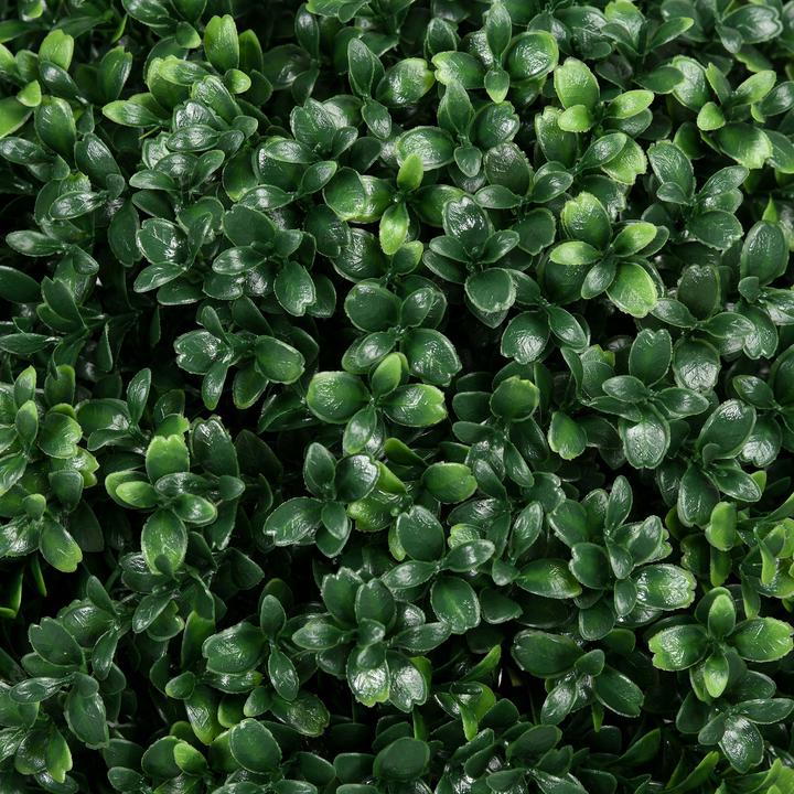 Immagine prodotto Homcom Buchsbaum (70 cm)