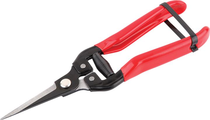 Actual product image Craft Tools Leseschere 19cm