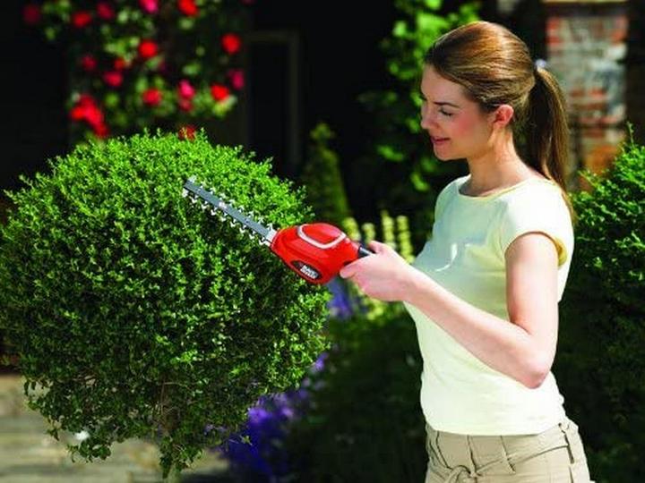 Actual product image Black & Decker Shrub and grass shears (Cordless hedgecutters)