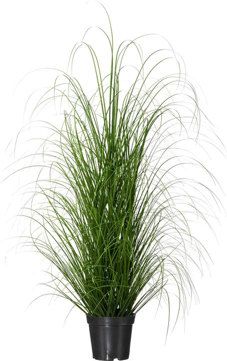 Immagine prodotto Schubiger Pianta artificiale erba Bush (90 cm)