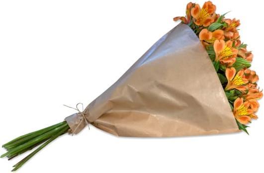 Fleurop Botte d‚Äôalstr≈ìm√®res oranges (Fleurs coupées)