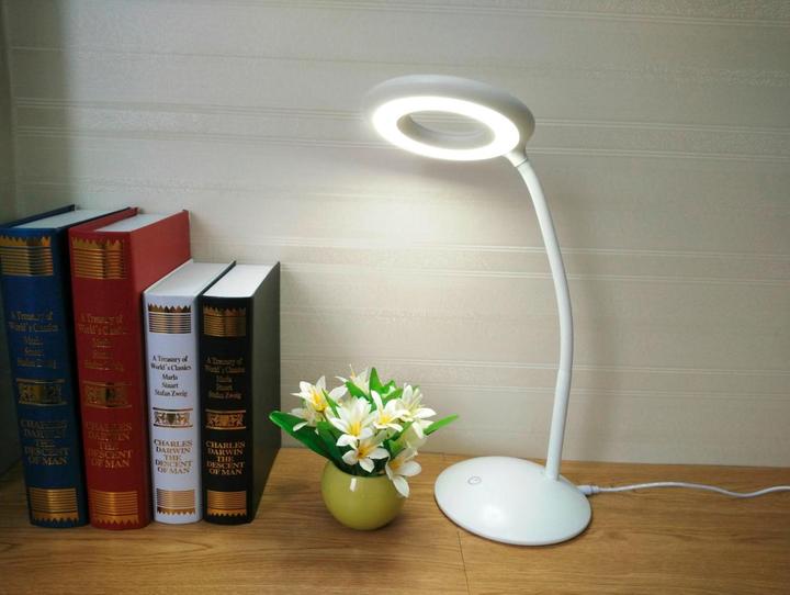Actual product image Wenko LED-Schreibtischleuchte mit Lupe (24 lm)