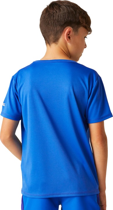 Actual product image Regatta Childrens/Kids Alvardo VIII Mountain T-Shirt (104)