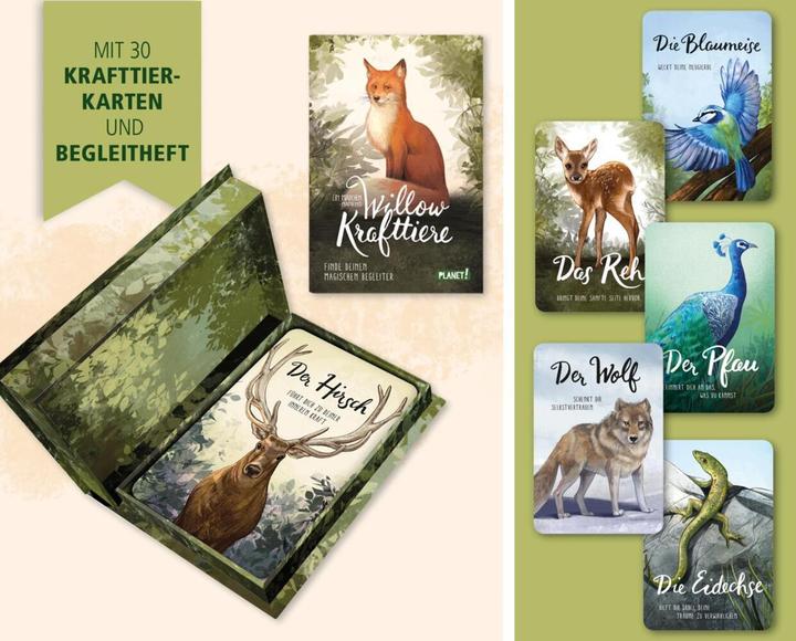 Produktbild Planet Ein Mädchen namens Willow: Krafttiere (Deutsch, Sabine Bohlmann, 2023)