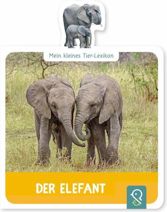 Produktbild Der Elefant (Deutsch, Hannah Kastenhuber, 2018)