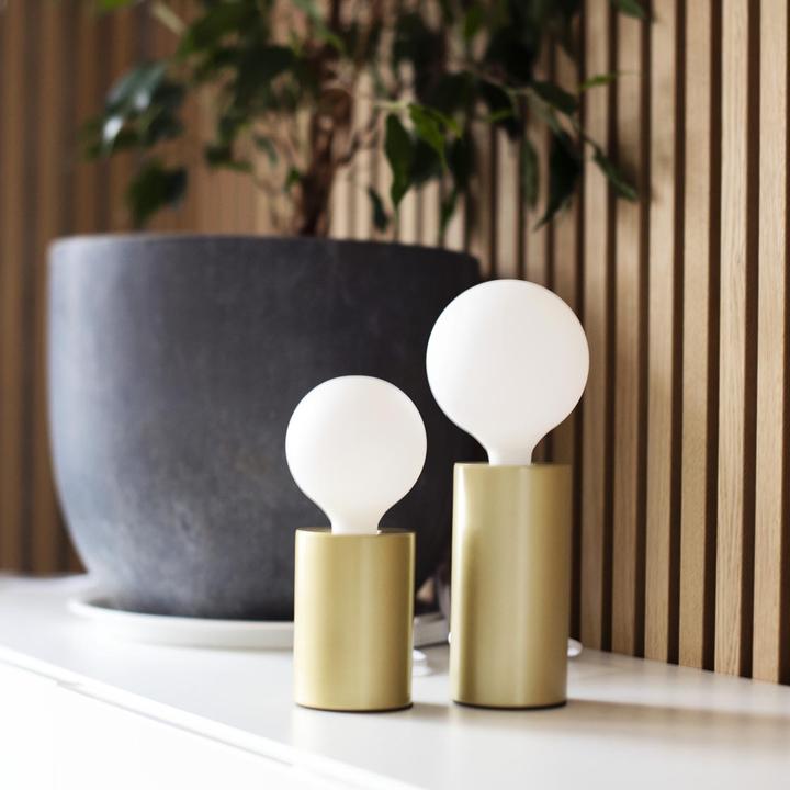 Immagine prodotto Star Trading Lampada da tavolo E27 TINY (E14)