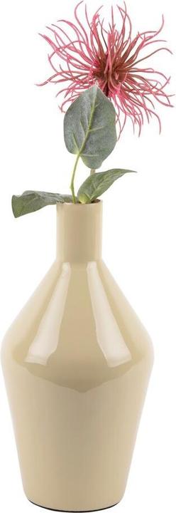 Productafbeelding present time Ivy (1 x, 22 cm, 3.38 l)