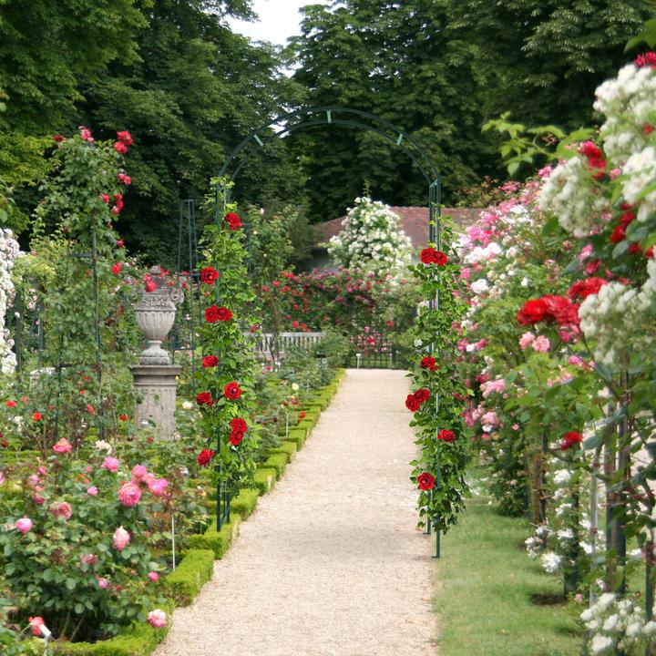 Actual product image Relaxdays Rose arch (41 cm, 110 cm)