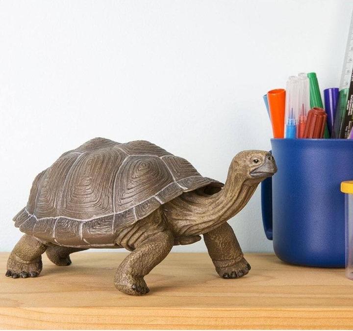Produktbild Safari Ic Schildkröte