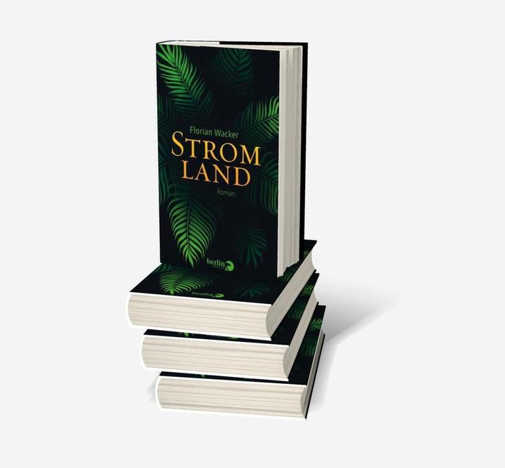 Produktbild Stromland (Deutsch, Florian Wacker, 2018)