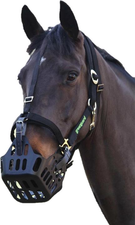 Green Guard Cavezza per cavalli Greenguard