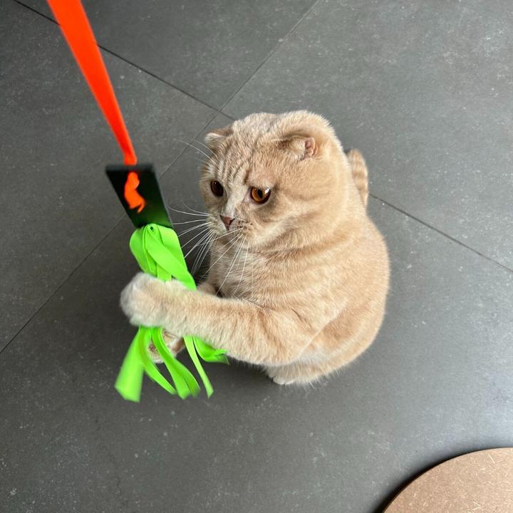 Produktbild Martin Kattenspeelgoed Celine Hanger Gerecycled Leer / Lint Assorti - 21,5X89X0,5 Cm (Plüschspielzeug Katze)