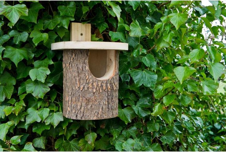 Produktbild Wildlife World Rotkehlchen