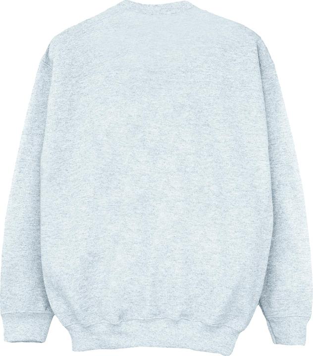 Image du produit Disney - Sweat ALPHABET B IS FOR BUZZ LIGHTYEAR - Femme (XL)