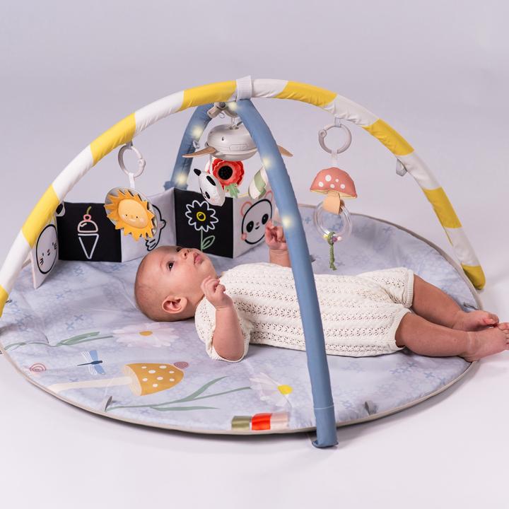 Image du produit Taf Toys Melody Bloom