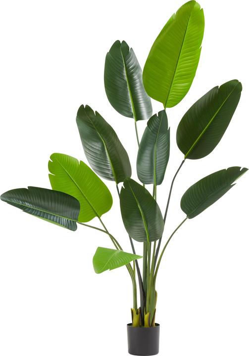 tectake Arbre oiseau de paradis Tropic (160 cm)