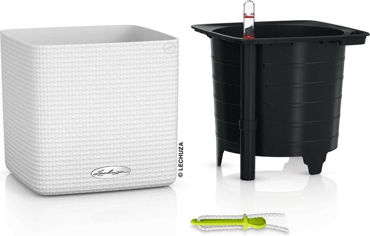 Actual product image Lechuza Cube Color (17 cm)