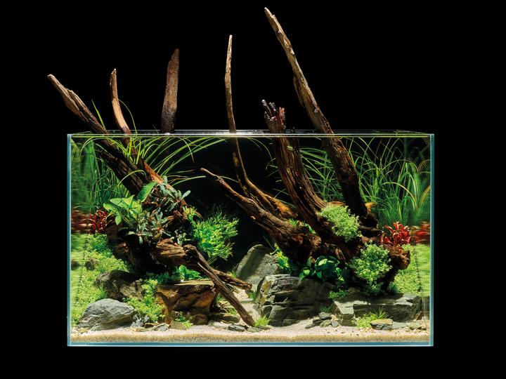 Actual product image Oase Aquarium ScaperLine 100, 250 l (250 l)