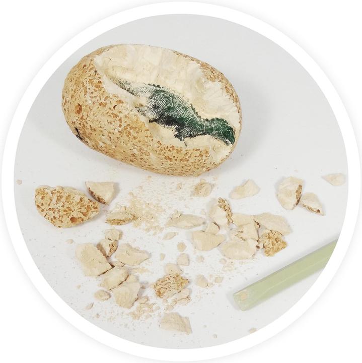 Image du produit Buki OEufs de dinosaure (assortis - 1 pièce)