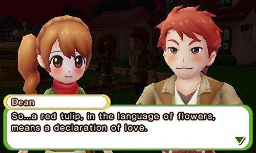 Produktbild Nintendo Harvest Moon: Skytree Village (3DS)