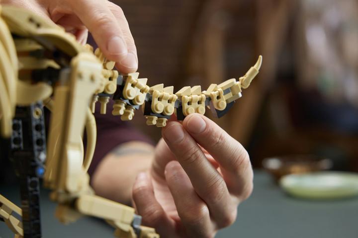 Produktbild LEGO Dinosaurier-Fossilien: Triceratops (77985, LEGO Jurassic World)