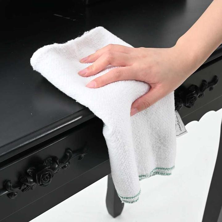 Actual product image vidaXL Reinigungstuch (10 pcs.)