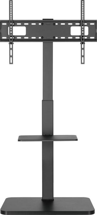 Produktbild equip Bodenständer (Universal, 75", 40 kg)
