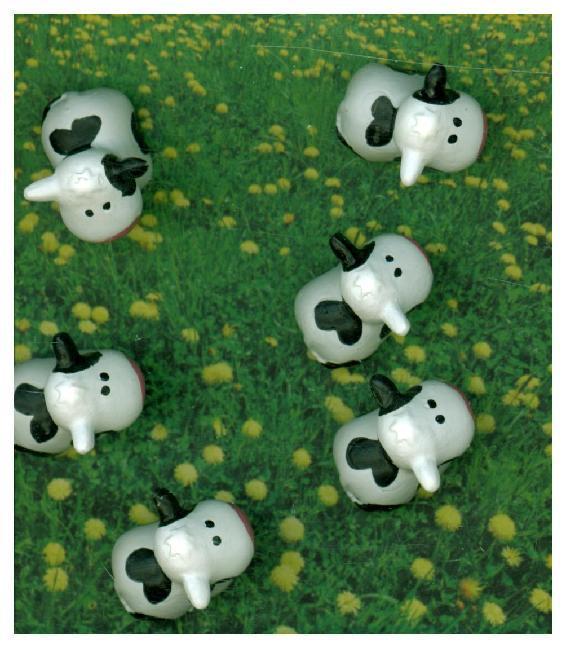 Image du produit Trendform Vache (6 x)