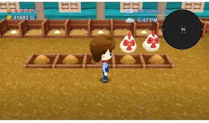 Immagine prodotto Numskull Harvest Moon: The Lost Valley & Skytree Village (Switch, EN, ES, FR)