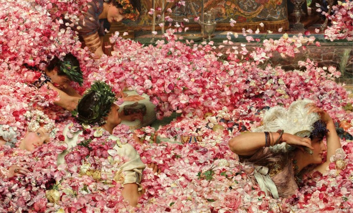 Produktbild Flowers Forever (Deutsch, Isabel Kranz, Gudrun Kadereit, Andreas Beyer, Randy Malamud, Silke Peters, D. Fairchild Ruggles, Inger Leemans, Michael John Gorman, 2023)