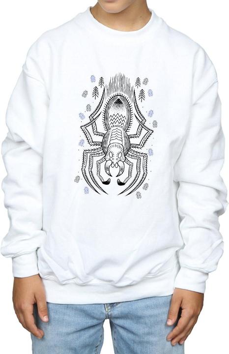 Image du produit - Sweat ARAGOG LINE ART - Garçon (128)