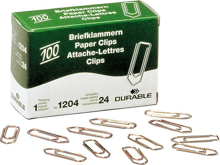 Actual product image Durable 120424 Paper clip (e) (100x)