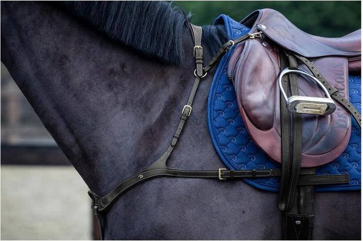 Produktbild Dy'on Vorderzeug anatomisch