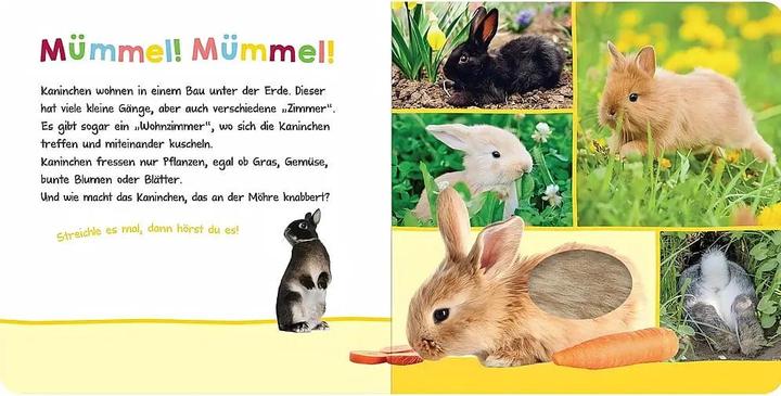 Actual product image Hör mal rein, wer kann das sein? - Im Frühling (German, 2021)