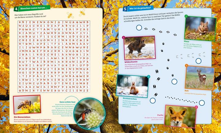 Produktbild Tessloff Rätseln und Stickern: Natur (Deutsch, Anja Kunze, Janina Michna, 2016)