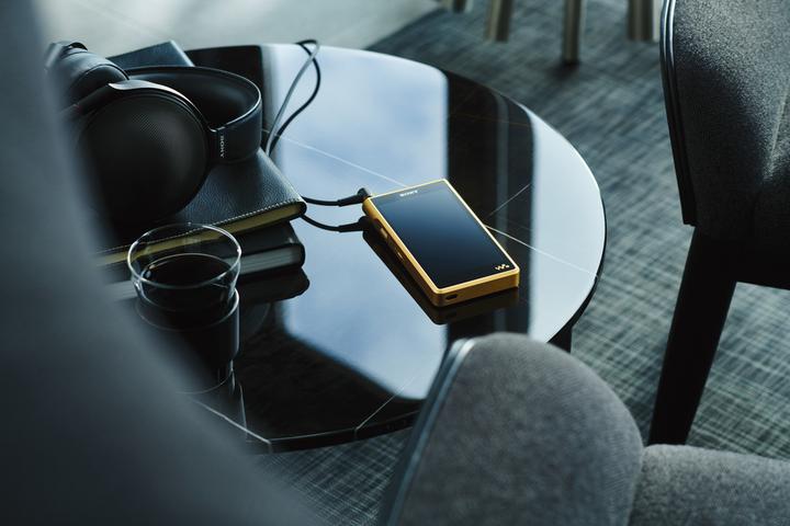 Image du produit Sony NW-WM1ZM2 (256 Go)