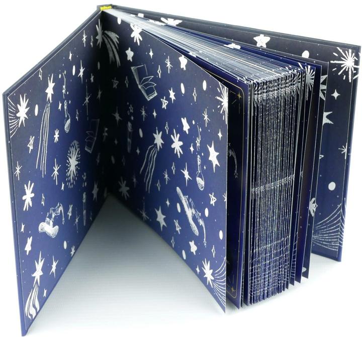 Produktbild Shacklebolt: Der ultimative Rätsel-Adventskalender