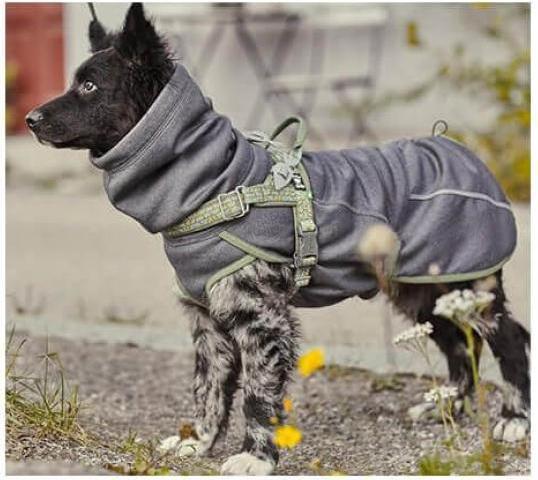 Produktbild Hurtta Razzle-Dazzle blackberry Gr.45 (M, Hundemantel)